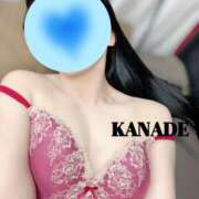 かなで うれしい マダムの品格