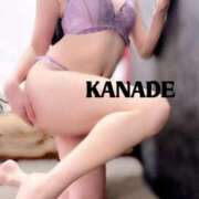 ヒメ日記 2026/01/29 21:46 投稿 かなで マダムの品格