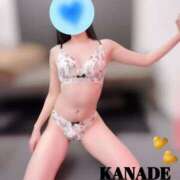 ヒメ日記 2026/01/30 18:22 投稿 かなで マダムの品格