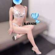 ヒメ日記 2026/02/12 17:59 投稿 かなで マダムの品格