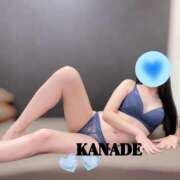 ヒメ日記 2026/02/14 16:01 投稿 かなで マダムの品格