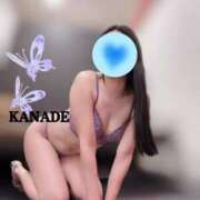 ヒメ日記 2026/02/16 03:52 投稿 かなで マダムの品格