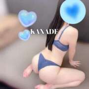 ヒメ日記 2026/02/18 15:51 投稿 かなで マダムの品格