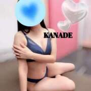 ヒメ日記 2026/02/24 16:01 投稿 かなで マダムの品格