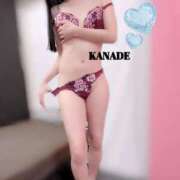 ヒメ日記 2026/02/24 17:53 投稿 かなで マダムの品格