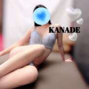 かなで [お題]from:二人で競馬場行きたいさん マダムの品格