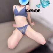 ヒメ日記 2026/03/02 17:58 投稿 かなで マダムの品格