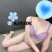 ヒメ日記 2026/04/22 16:09 投稿 かなで マダムの品格