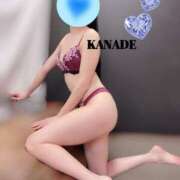 かなで 出勤しました マダムの品格