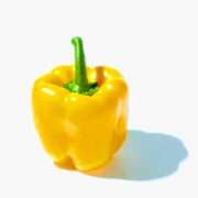 ヒメ日記 2025/08/13 11:28 投稿 なぎさ【綺麗系】 フィーリング