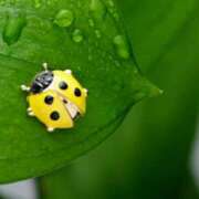 ヒメ日記 2025/08/23 22:53 投稿 なぎさ【綺麗系】 フィーリング