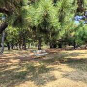 ヒメ日記 2025/08/27 11:38 投稿 なぎさ【綺麗系】 フィーリング