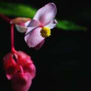 ヒメ日記 2025/09/14 12:17 投稿 なぎさ【綺麗系】 フィーリング