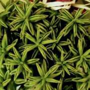 ヒメ日記 2025/09/22 18:54 投稿 なぎさ【綺麗系】 フィーリング