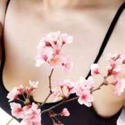 ヒメ日記 2024/12/15 03:00 投稿 とわ Candy Love