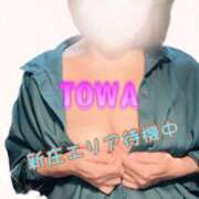 ヒメ日記 2025/03/20 15:30 投稿 とわ Candy Love