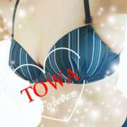 ヒメ日記 2025/03/28 13:52 投稿 とわ Candy Love