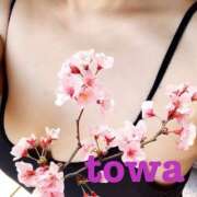 ヒメ日記 2025/11/17 11:30 投稿 とわ Candy Love