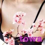 ヒメ日記 2025/12/17 13:45 投稿 とわ Candy Love