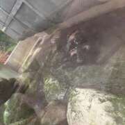 ヒメ日記 2025/03/28 06:35 投稿 かこ 横浜人妻セレブリティ（ユメオト）