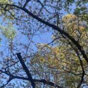 ヒメ日記 2025/04/16 18:46 投稿 かこ 横浜人妻セレブリティ（ユメオト）