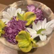 ヒメ日記 2025/05/17 04:36 投稿 かこ 横浜人妻セレブリティ（ユメオト）