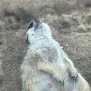 ヒメ日記 2025/07/12 05:10 投稿 かこ 横浜人妻セレブリティ（ユメオト）