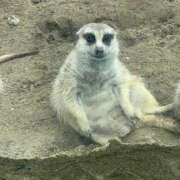 ヒメ日記 2025/07/12 16:23 投稿 かこ 横浜人妻セレブリティ（ユメオト）