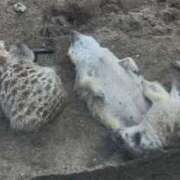 ヒメ日記 2025/07/18 14:40 投稿 かこ 横浜人妻セレブリティ（ユメオト）