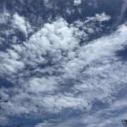 ヒメ日記 2025/07/20 05:51 投稿 かこ 横浜人妻セレブリティ（ユメオト）