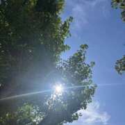 ヒメ日記 2025/07/30 05:24 投稿 かこ 横浜人妻セレブリティ（ユメオト）