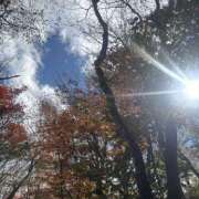 ヒメ日記 2025/11/14 06:37 投稿 かこ 横浜人妻セレブリティ（ユメオト）