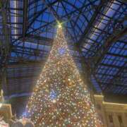 ヒメ日記 2025/12/24 06:10 投稿 かこ 横浜人妻セレブリティ（ユメオト）