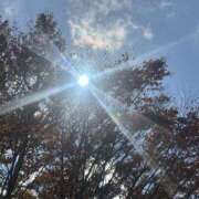 ヒメ日記 2025/12/26 06:20 投稿 かこ 横浜人妻セレブリティ（ユメオト）