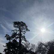 ヒメ日記 2026/02/08 17:44 投稿 かこ 横浜人妻セレブリティ（ユメオト）