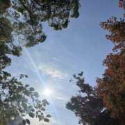 ヒメ日記 2026/03/05 07:36 投稿 かこ 横浜人妻セレブリティ（ユメオト）