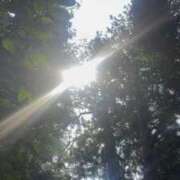 かこ おはようございます 横浜人妻セレブリティ（ユメオト）