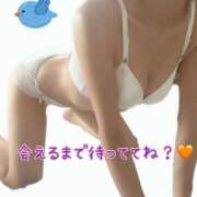 ヒメ日記 2024/08/06 15:05 投稿 なおか先生 女教師