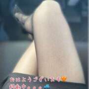 ヒメ日記 2025/02/10 10:05 投稿 なおか先生 女教師