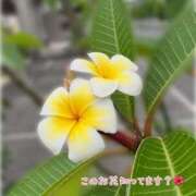 ヒメ日記 2025/02/20 13:55 投稿 なおか先生 女教師