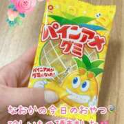 ヒメ日記 2025/03/25 14:55 投稿 なおか先生 女教師