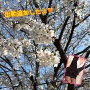 ヒメ日記 2025/04/06 10:15 投稿 なおか先生 女教師