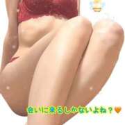 ヒメ日記 2025/04/07 22:55 投稿 なおか先生 女教師