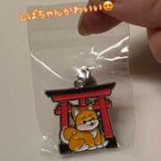 ヒメ日記 2025/04/30 23:47 投稿 なおか先生 女教師