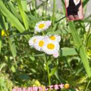 ヒメ日記 2025/05/01 09:45 投稿 なおか先生 女教師