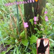 ヒメ日記 2025/05/10 09:55 投稿 なおか先生 女教師