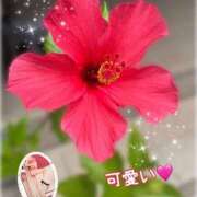 ヒメ日記 2025/07/14 00:55 投稿 なおか先生 女教師