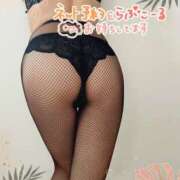 ヒメ日記 2024/12/10 09:31 投稿 片桐　なお 柏OL委員会