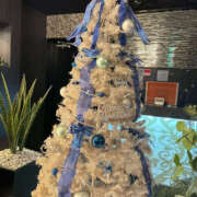 ヒメ日記 2024/12/10 18:40 投稿 片桐　なお 柏OL委員会