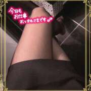 ヒメ日記 2024/12/11 18:41 投稿 片桐　なお 柏OL委員会